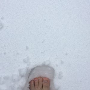 Meet your Posher, Zaic